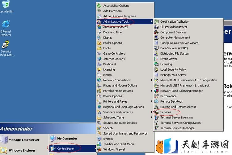 VPSWINDOWS另类乱：在虚拟世界中的探索与发现