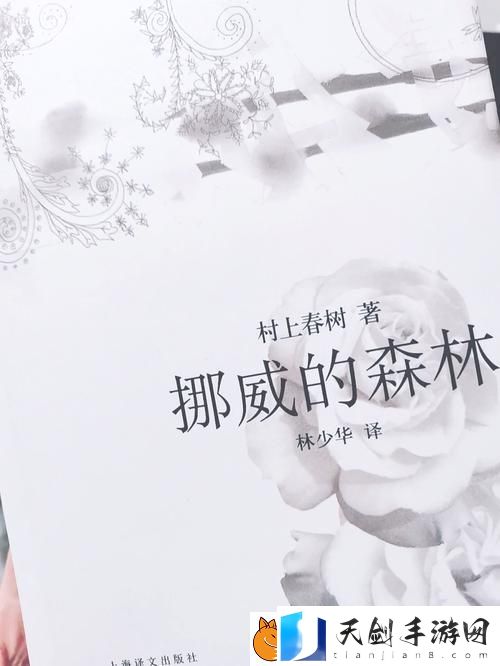 反思与成长