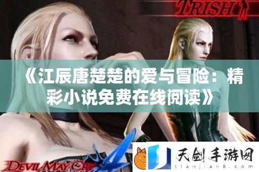 江辰唐楚楚的爱与冒险：精彩小说免费在线阅读