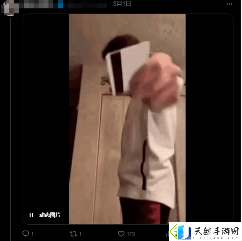 大乃子有没有错