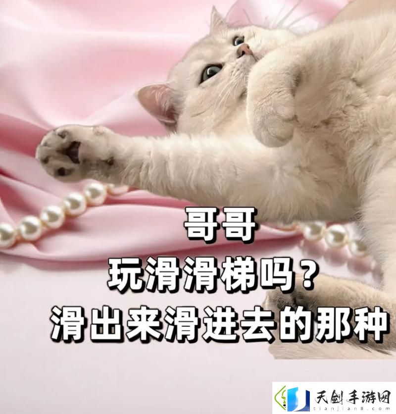 情感回馈宝贝几天没C你了-让我们来聊聊