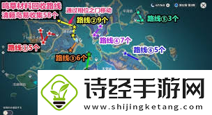 高效鸣草收集路线大全-速览不迷路