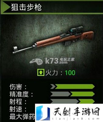 火线指令诺曼底什么步枪好 步枪解析： 副本掉落装备全指南