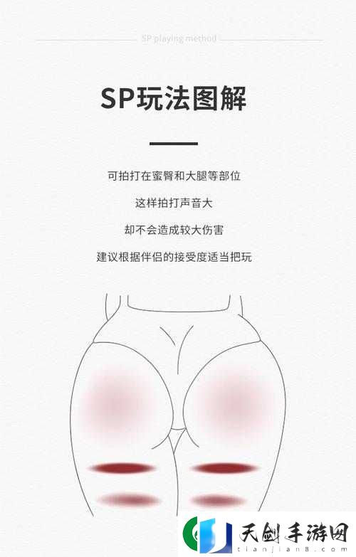 金牌惩戒师-SP-实验教程：揭秘高效教育方法