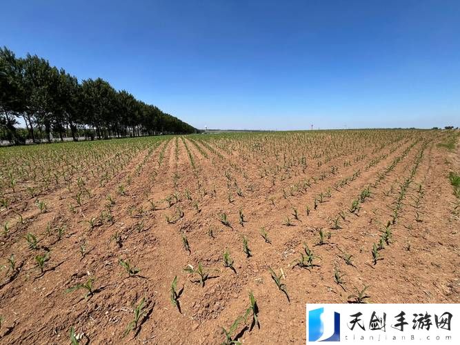 耕种姨妈肥沃的土地，用户：小绿