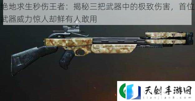 绝地求生秒伤王者：揭秘三把武器中的极致伤害-首位武器威力惊人却鲜有人敢用