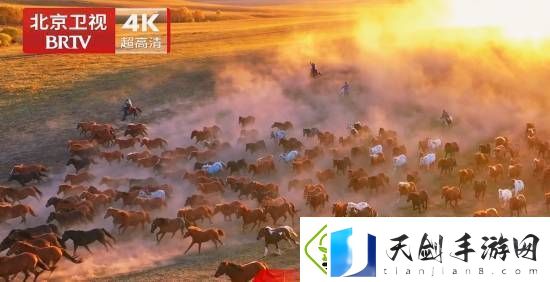 国内首个！北京卫视4K超高清频道震撼亮相
