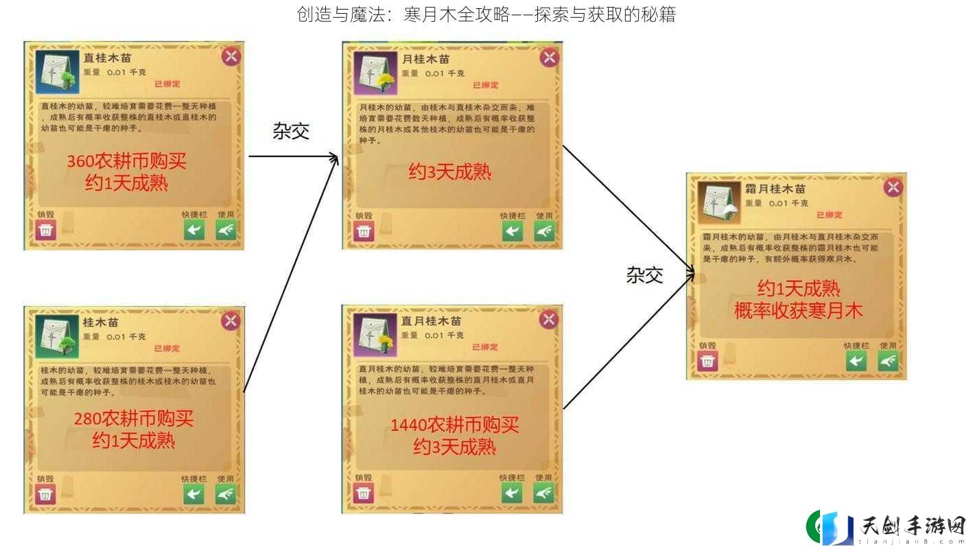 创造与魔法
