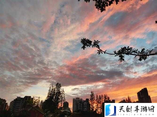 www.73x9 天空之神.com：一个神秘而独特的网站