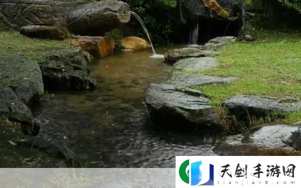 雨声缭绕心自静