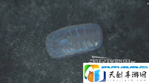 怪物猎人荒野大虚无动在哪捕获