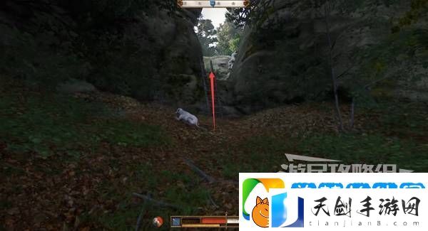 天国拯救2图文攻略大全