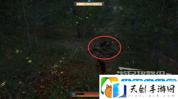 天国拯救2图文攻略大全