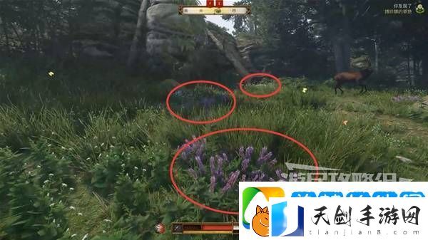 天国拯救2图文攻略大全